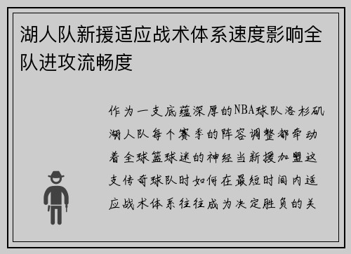 湖人队新援适应战术体系速度影响全队进攻流畅度